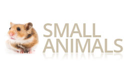 Small Animal Products