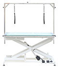 ELECTRIC GROOMING TABLE WITH LED LIGHT 